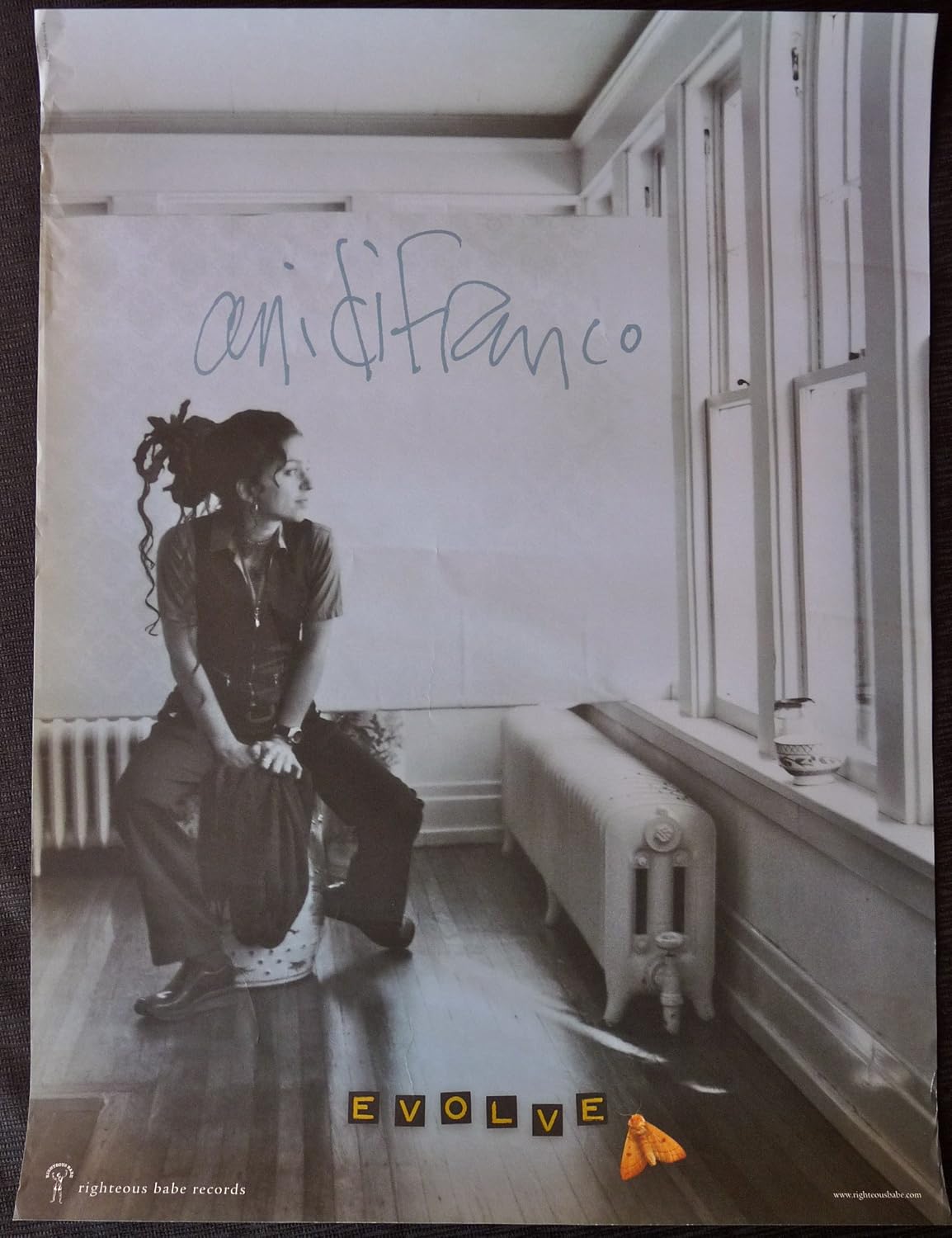 Ani DiFranco 2026 concert poster